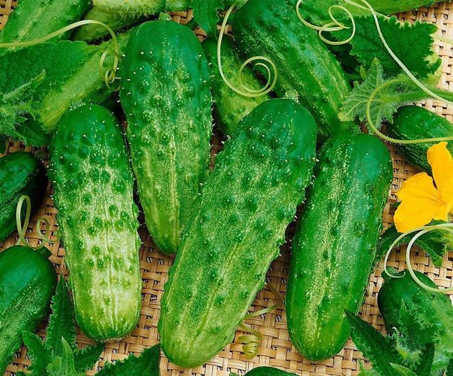 Dưa chuột: Chứa chủ yếu là nước, dưa chuột giúp giữ nước cho da hiệu quả. Chúng cũng giúp cơ thể sản xuất collagen, chống ung thư hiệu quả.