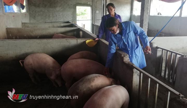 Các xã có lợn bị nhiễm bệnh qua thời gian 30 ngày không