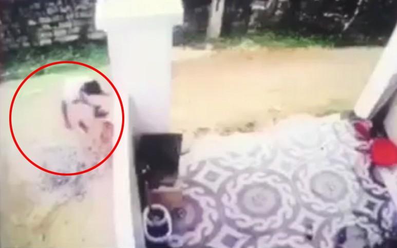 Ngay sau khi cán phải bé trai, tài xế lập tức xuống xe đưa thi thể nạn nhân đi nơi khác.