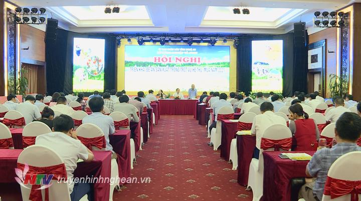 Toàn cảnh hội nghị.