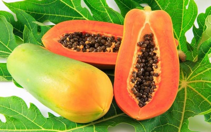 Đu đủ: Loại trái cây nhiệt đới này là nguồn vitamin C tuyệt vời. Chỉ cần một phần đu đủ mỗi ngày cũng cung cấp đủ lượng vitamin C cần thiết để hoạt động thích hợp.