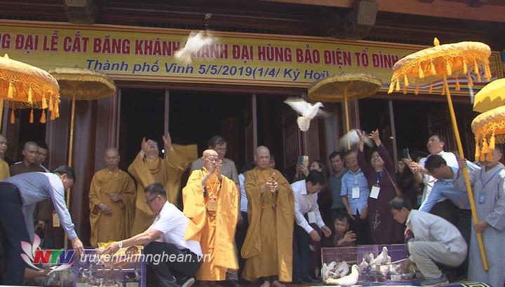 Phóng sinh bồ cầu cầu 