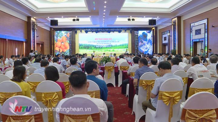 Toàn cảnh hội thảo.