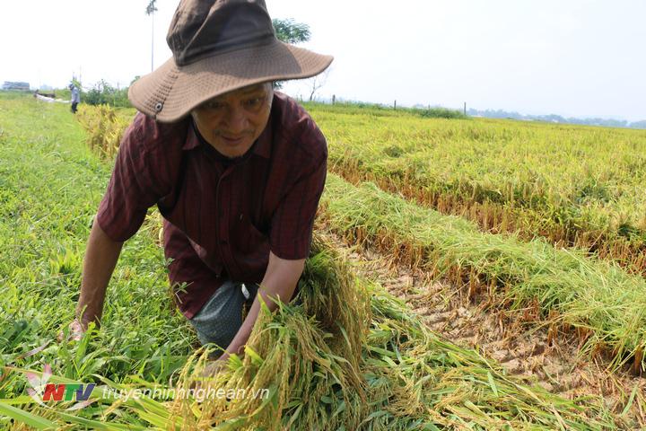 Bà con khắc phục hậu quả do mưa, gió lớn.