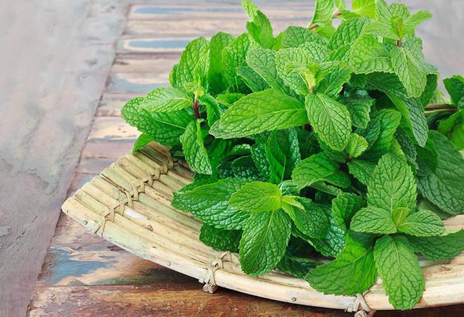 Bạc hà: Không chỉ giúp món ăn của bạn thơm ngon hơn, bạc hà còn có tác dụng giải nhiệt. Chiết xuất tinh dầu trong bạc hà tạo ra các cảm biến trong cơ thể, giúp bạn cảm thấy mát mẻ. Bạc hà vừa có tính chất cay giúp toát mồ hôi, lại vừa có tính chất làm dịu thân nhiệt, giúp cơ thể mát mẻ từ bên trong. Cách đơn giản nhất là sử dụng bạc hà cho vào nước chanh hoặc các món ăn bình thường. 