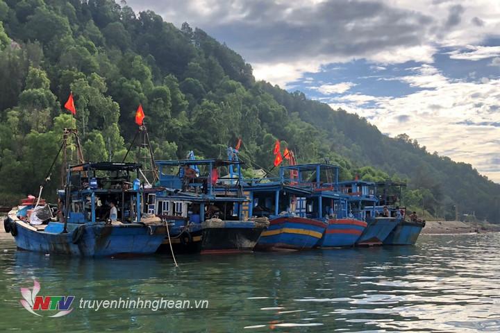 6 phương tiện của ngư dân các tỉnh Ninh Thuận, Ninh Thuận và Cần Thơ có hành vi khai thác thủy sản ven bờ biển tỉnh PG88 go Bắn cá.