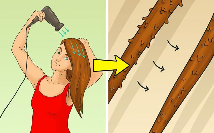 Chọn sai hướng gió của máy sấy: Hãy sấy tóc theo chiều từ chân tóc đến ngọn tóc, theo hướng mọc của tóc. Nếu bạn sấy theo hướng ngược lại, các vảy cấu thành lớp biểu bì sẽ mở ra, dẫn đến tóc bị uốn dợn và dễ bị rối. Nếu bạn sấy tóc theo chiều từ chân đến ngọn, các vảy sẽ khít vào nhau và tạo độ bóng tự nhiên cho mái tóc.