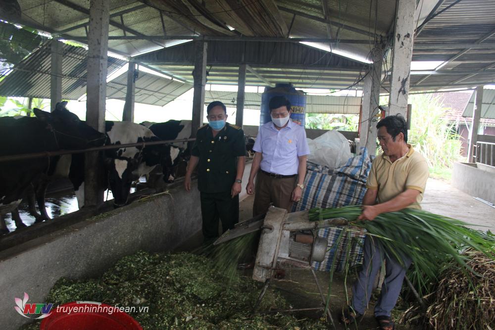 Hội CCB huyện Quỳnh Lưu hiện có hàng trăm mô hình thương, bệnh binh làm kinh tế giỏi, cho thu nhập từ 100 - 200 triệu đồng