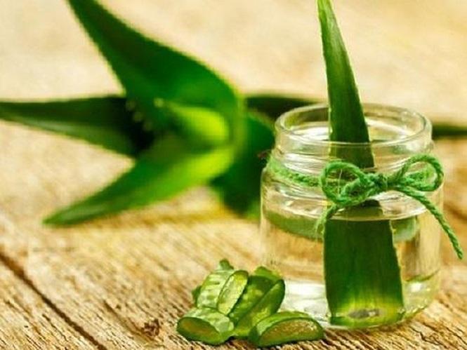 Nếu bạn có bất kì bệnh đường ruột nào như bệnh Crohn và viêm loét đại tràng thì nên tránh uống nước ép nha đam vì nhựa nha đam sẽ gây kích ứng ruột. 