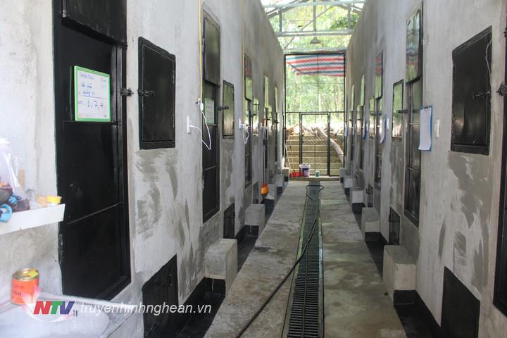 anh 3. Hổ được chăm sóc trong các phòng đảm bảo về môi trường