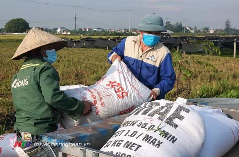Lực lượng tình nguyện Diễn Thái đưa lúa về cho bà con vùng cách ly y tế