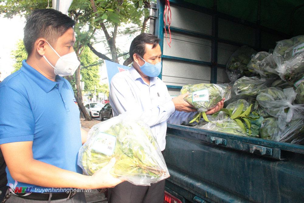 Toàn bộ rau, củ được Trung tâm Giống cây trồng PG88 go Bắn cá liên kết với các nhà vườn rau sạch trên địa bàn tỉnh cung cấp.