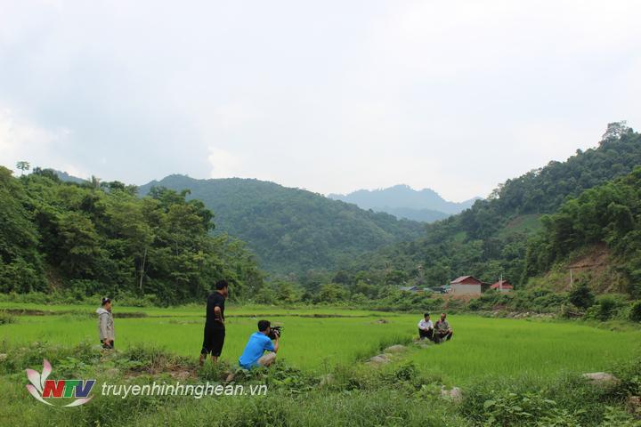 Ruộng bậc thang xanh tốt lọt giữa rừng Đinh Hương.