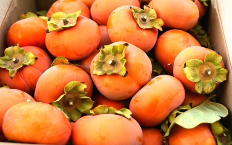 Chống lão hóa: Quả hồng giòn rất giàu một số vitamin, đặc biệt là vitamin A, beta-carotene, lutein, lycopene và cryptoxanthins giúp ngăn ngừa các dấu hiệu lão hóa sớm của da như nếp nhăn, đốm đen do tuổi tác...