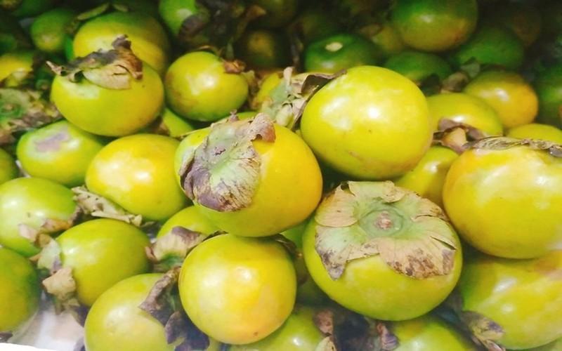 Cải thiện sức khỏe thị giác: Một số hợp chất trong quả hồng giòn cũng tỏ ra có lợi cho sức khoẻ của mắt giúp bảo vệ mặt khỏi nguy cơ mắc bệnh đục thủy tinh thể, thoái hóa điểm vàng hoặc quáng gà.