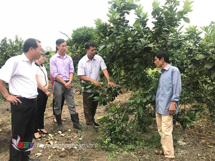 Anh Trần Quốc Việt chia sẻ