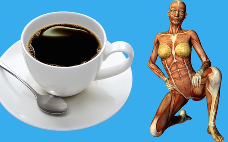 Rất nhiều nghiên cứu đã chỉ ra lợi ích của cafe nhờ vào chất chống oxy hóa có trong loại thức uống này. Song không phải "tín đồ" cafe nào cũng biết đến những cách pha chế hay uống đúng cách để ly cafe hàng ngày thêm ngon và bổ hơn.