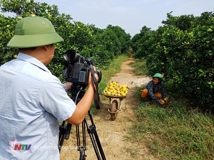 quay phim thực hiện cảnh nhân vật nhặt cam rụng đi đổ...