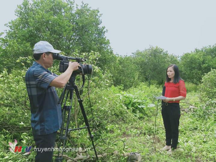 Phóng viên Trâm Anh dẫn tại hiện trường.