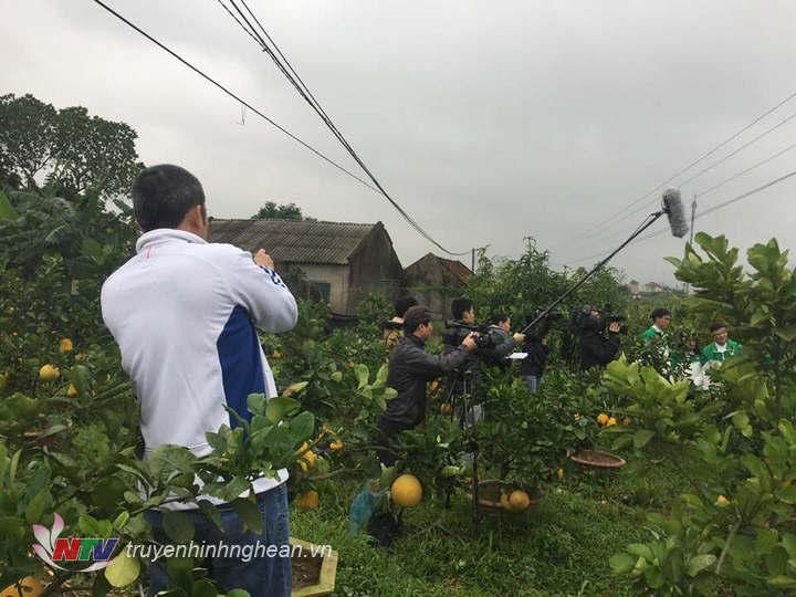 Lưu lại hậu kỳ.