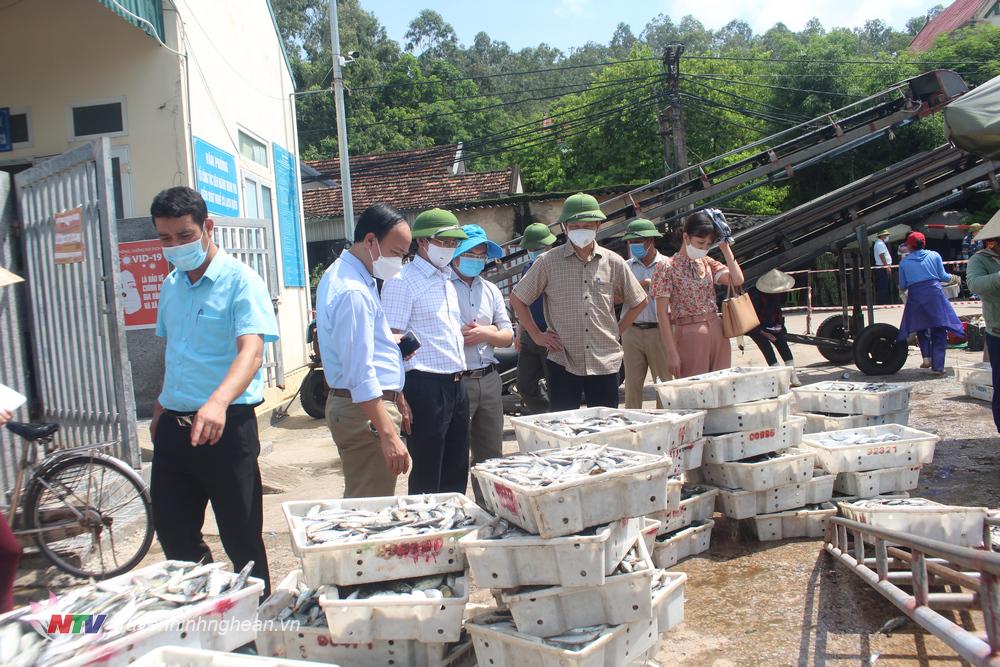 Kiểm tra công tác tiêu thụ hải sản sau khi nhiều tàu về tránh bão.