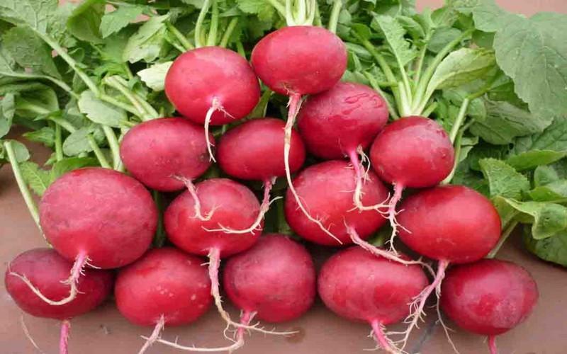 Củ cải đường được biết đến như một loại rau rất có hiệu quả trong cuộc chiến chống bệnh thiếu máu. Loại củ này có hàm lượng sắt cao, giúp sửa chữa và kích hoạt lại các tế bào hồng cầu, ngăn ngừa thiếu máu.