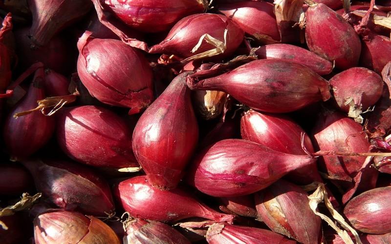 Tăng cường chức năng não: Axit Gamma-aminobutyric có trong hành và hẹ là một chất dẫn truyền thần kinh quan trọng có tác động trực tiếp đến việc thư giãn của não giúp giảm căng thẳng.