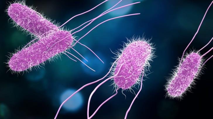 Nhiễm Salmonella: Khuẩn Salmonella là một vi khuẩn có trong phân và lây truyền qua nước ô nhiễm. Những người nhiễm khuẩn thường có triệu chứng tiêu chảy, ớn lạnh, đau bụng và sốt.