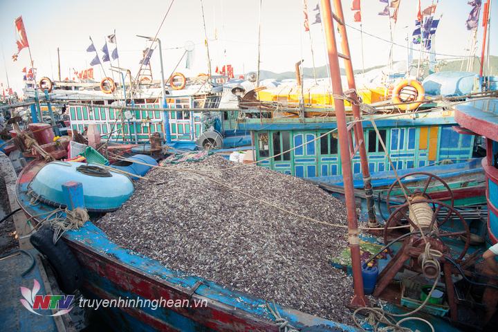 Các tàu cập cảng Quỳnh Phương đang xếp hàng chờ bốc dỡ.