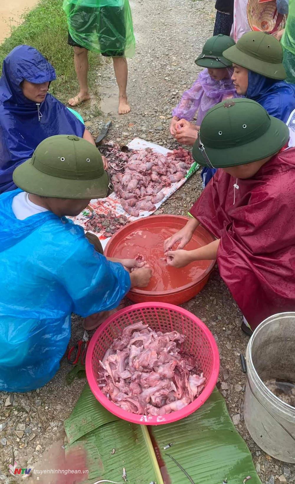 Người dân tập trung sơ chế thịt chuột ngay tại đồng.