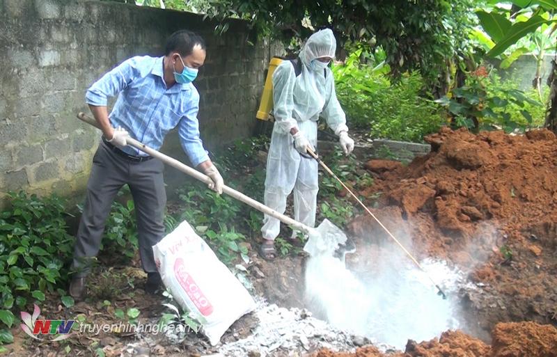 Tiêu huỷ lợn nhiễm bệnh.