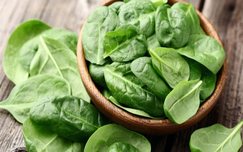 Rau chân vịt có chứa hàm lượng lớn scellulose giúp bảo vệ tốt dạ dày của bạn. Ngoài ra, ăn rau chân vịt thường xuyên có thể thúc đẩy sự bài tiết của tuyến tụy và cải thiện tiêu hóa.