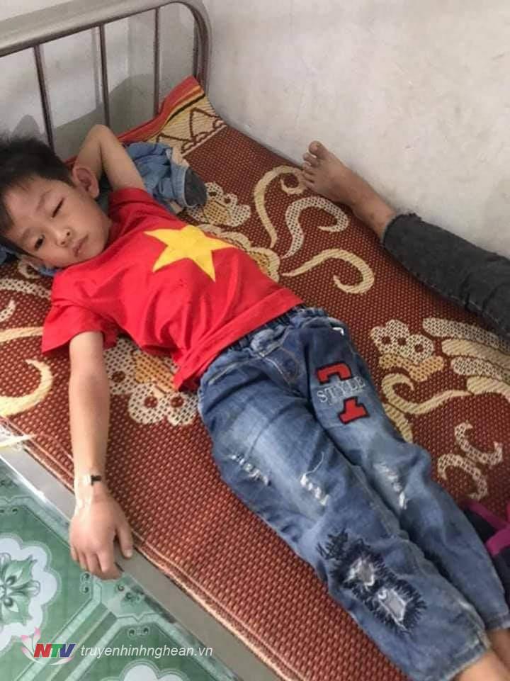 Do 2 trường cấp 1, cấp 2 nằm sát nhau nên một số học sinh Tiểu học bị ong đốt.