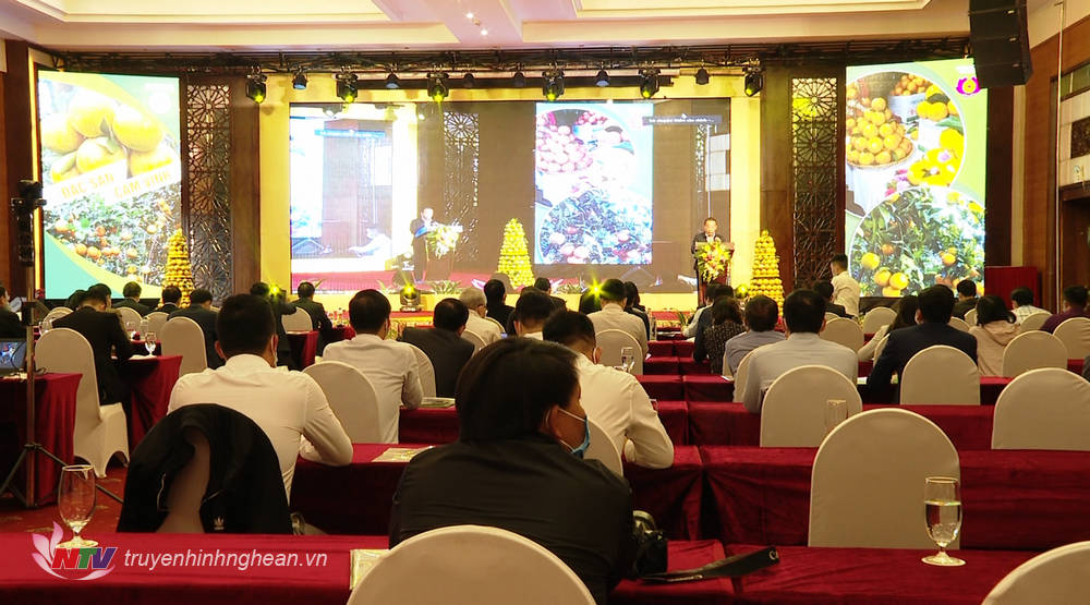 Toàn cảnh diễn đàn.