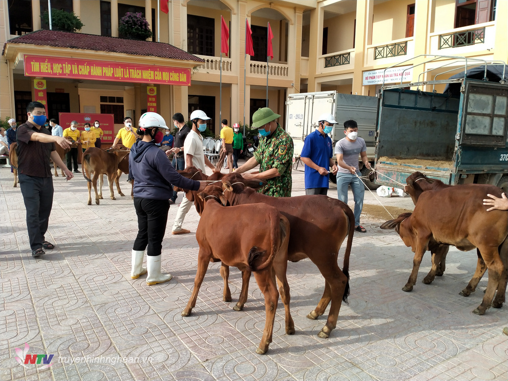 Mỗi con bê giống sinh sản đều được Ban điều hành chương trình tuyển chọn kỹ lưỡng, đảm bảo chất lượng