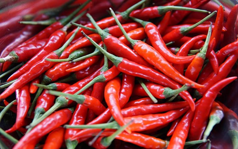 Quả ớt, một gia vị được chế biến trong những món canh, hầm chứa hợp chất có tên là capsaicin giúp hương vị món canh nhà bạn thêm cay, nóng, đậm đà đồng thời cũng làm cơ thể bạn ấm lên một cách tự nhiên.