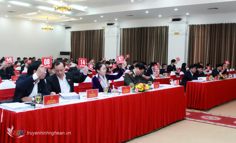 Các đại biểu biểu quyết thông qua Nghị quyết 
