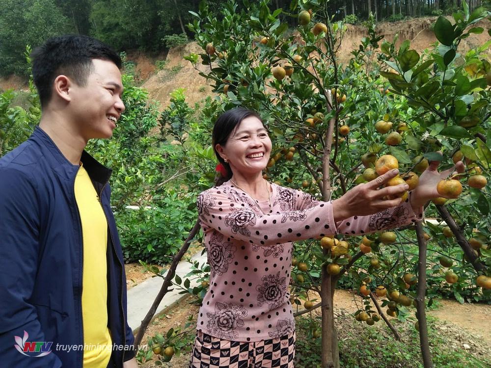 2. Vườn cây ăn quả được bà Hồng chăm bón có hiệu quả