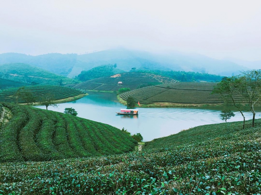 Theo dòng nước đập Cây Cau, du khách có thể chiêm ngưỡng toàn bộ những đồi chè thiết kế thoai thoải hay những luống chè được canh tác theo hình cánh cung vô cùng đẹp mắt. Bạn cũng được trực tiếp ngồi thuyền khám phá mặt đập Cây Cau trong xanh, trải nghiệm vô cùng thích thú.  Đồi chè đẹp nhất vào sáng sớm, khi trời còn đẫm sương và cảnh vật nơi đây chưa bị đánh thức. Chào một ngày mới năng động bởi hương thơm của những lá chè cùng không khí yên tĩnh, trong lành quả thực rất thú vị.