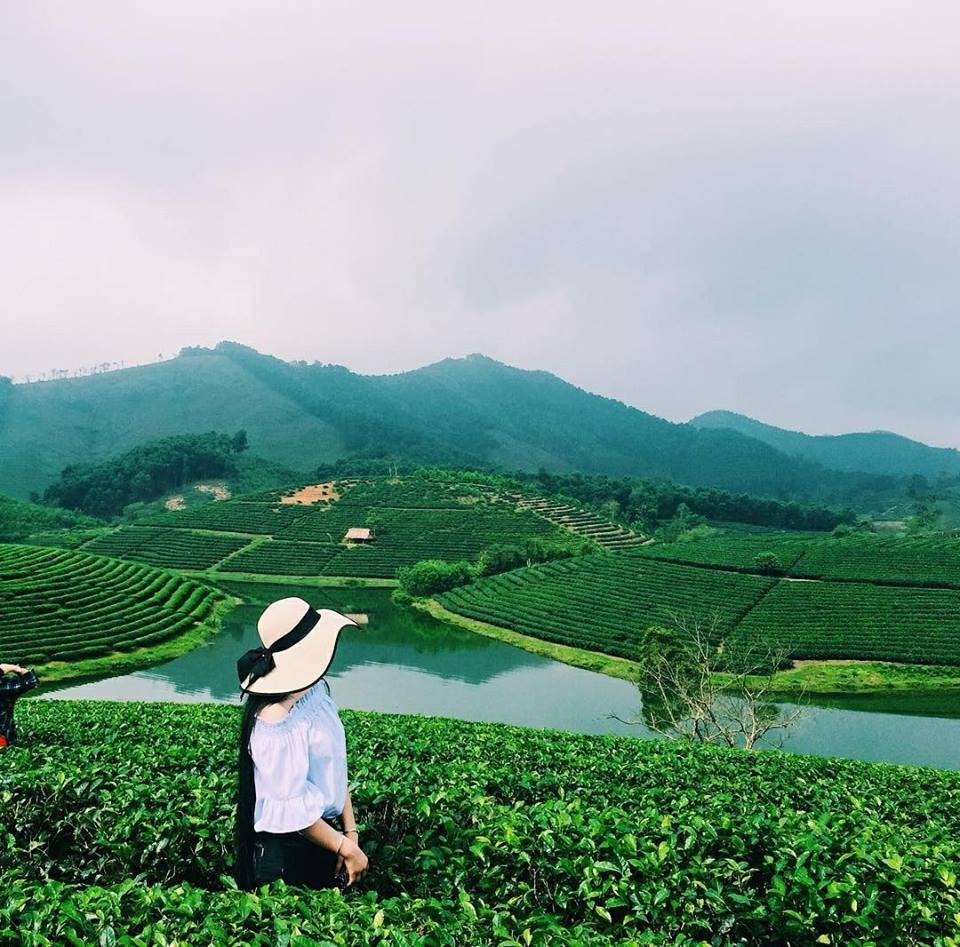 Đến tham quan đồi chè, bạn sẽ không khỏi ngạc nhiên và thích thú bởi cảnh sắc "non xanh nước biếc như tranh họa đồ" mà còn bởi phong cảnh yên bình, thơ mộng. Bạn cũng sẽ được chiêm những những đồi chè hay ốc đảo chè trải dài xanh mướt đến tận cuối trời mang đến một cảm giác nhẹ nhàng, khiến ta muốn thả hồn theo sắc màu thiên nhiên.