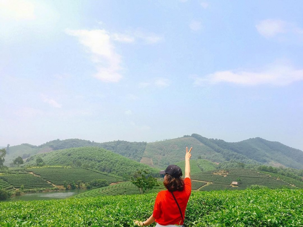 Mỗi đồi chè đều có diện tích rộng từ gần 1ha đến khoảng 1ha, rất thuận tiện cho việc di chuyển, thăm thú của khách du lịch. Từng đồi chè kéo dài ra mép nước ven hồ, phủ bóng xuống mặt hồ nước mênh mông. Bạn cũng có thể dừng chân nghỉ ngơi tại các túp lêu của người dân bản địa dựng quanh đồi chè. Bên trong, có sẵn những ấm chè xanh nóng hổi, thơm ngon để dành tặng khách du lịch. Chè Thanh Chương mang một nét riêng biệt, vị trà nồng đượm khó quên, khiến du khách một lần ghé thăm sẽ nhớ hoài, nhớ mãi.