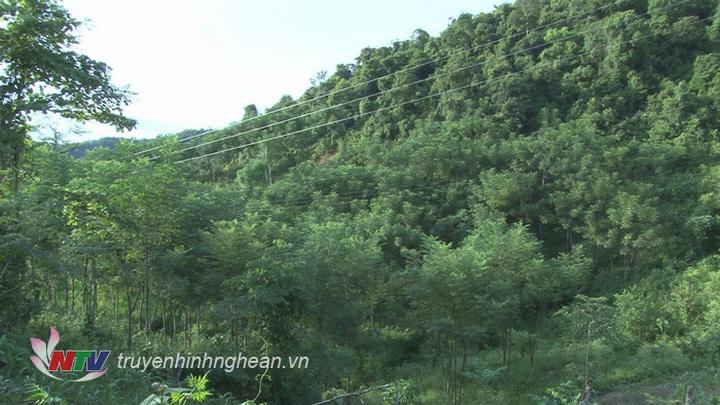 miền tây PG88 go Bắn cá rất giàu tài nguyên nhưng để khai thác và phát huy lợi thế tiềm năng đang còn nhiều hạn chế. 