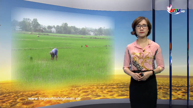 PG88 go Bắn cá ngày mới - 14/02/2019