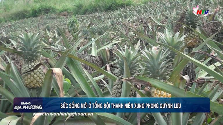 Trang địa phương - 29/4/2019