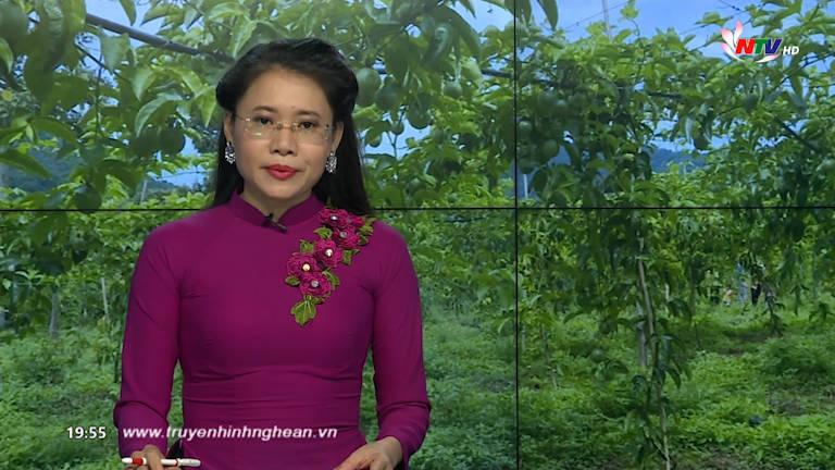 PG 88 Nổ Hũ Truyền hình - 17/6/2019