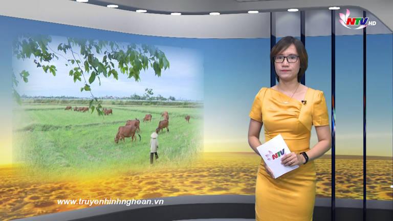 PG88 go Bắn cá ngày mới - 25/7/2019