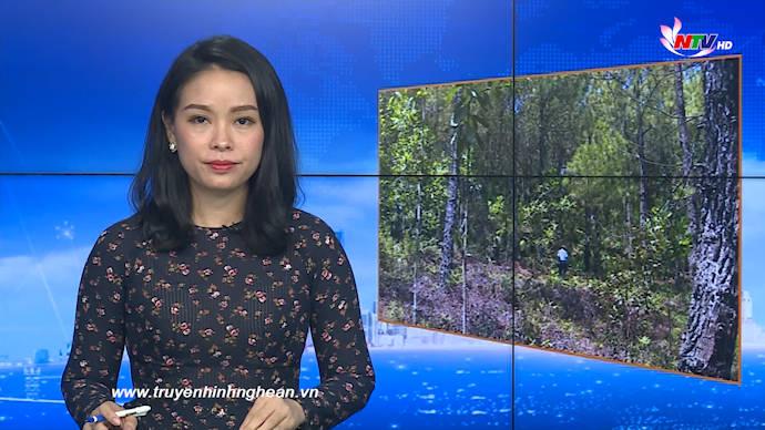 PG 88 Nổ Hũ Truyền hình - 02/7/2020