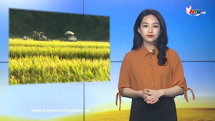 PG88 go Bắn cá ngày mới - 10/7/2020
