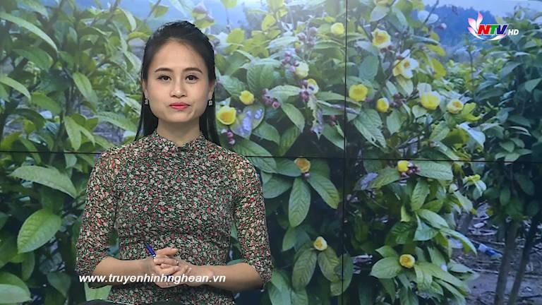 PG 88 Nổ Hũ Truyền hình - 31/10/2019