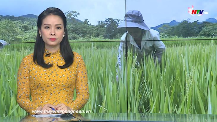 PG 88 Nổ Hũ Truyền hình - 12/11/2020